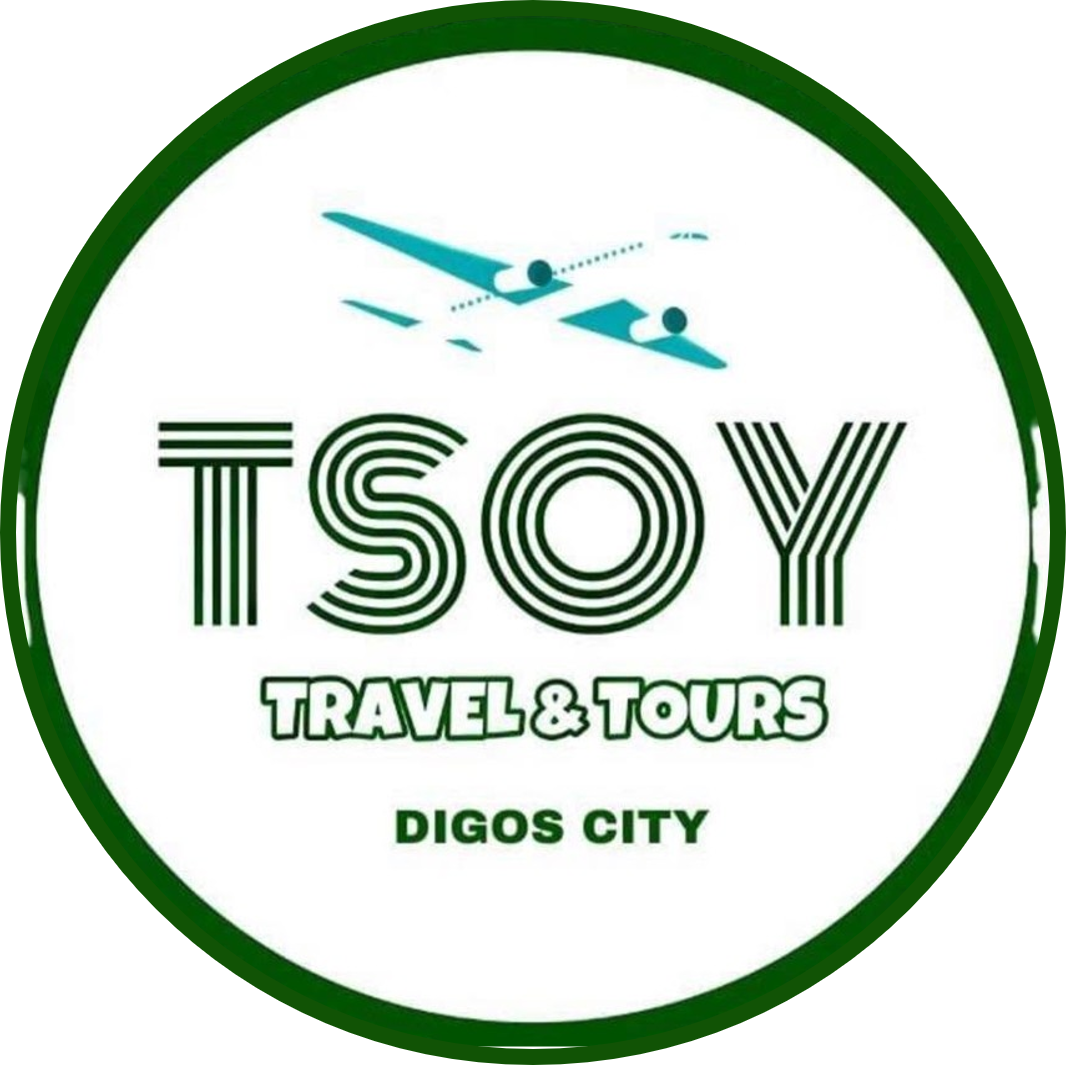 TSOY Logo